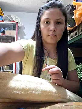 nidia2026 online show from January 2025 06:28:01 PM