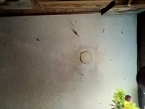 realoneNocap online show from November 2025 05:57:01 PM