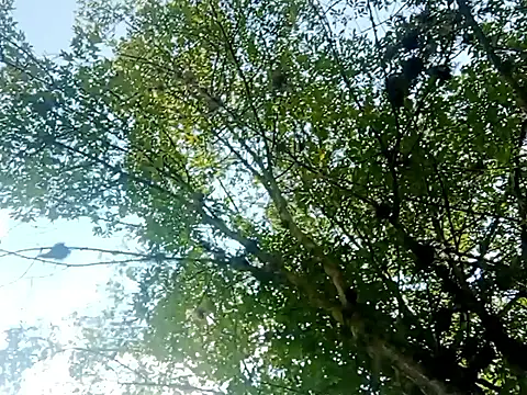 Snapshot of Darly_Gomez chatting on March 2025 03:27:01 PM Darly Gomez online show from March 2025 03:27:01 PM