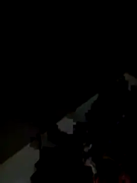 Snapshot of Kitjai200301 chatting on November 2025 07:43:02 AM Kitjai200301 online show from November 2025 07:43:02 AM