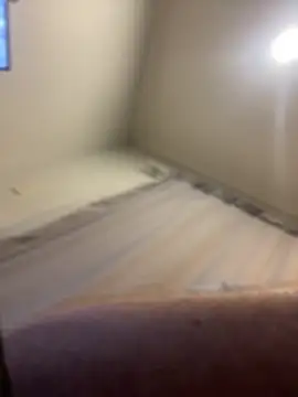 FrankJake99 online show from November 2025 11:49:02 PM