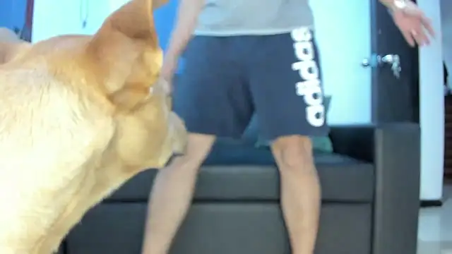 boss of cash online show from October 2025 01:30:02 AM