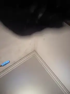 hot girl dina online show from February 2025 11:01:02 AM