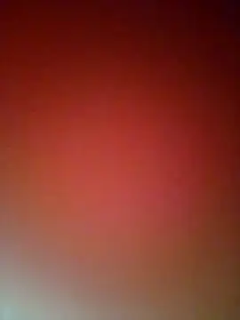 catalella14 online show from January 2025 12:40:01 PM