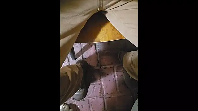 zaneporter46 online show from October 2025 09:02:01 AM