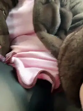 Snapshot of AndreaMood chatting on February 2025 06:43:01 AM AndreaMood online show from February 2025 06:43:01 AM