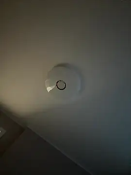 Snapshot of AndreaMood chatting on October 2025 12:31:01 AM AndreaMood online show from October 2025 12:31:01 AM