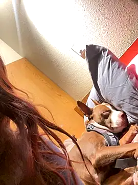 Dnasty408 online show from October 2025 04:26:01 AM