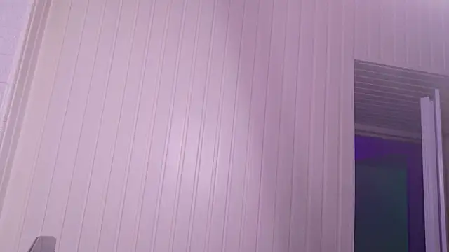 Snapshot of StellaFrost chatting on November 2025 04:07:02 PM StellaFrost online show from November 2025 04:07:02 PM