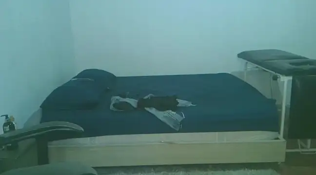 Snapshot of David_Adams2003 chatting on February 2025 04:54:01 PM David Adams2003 online show from February 2025 04:54:01 PM