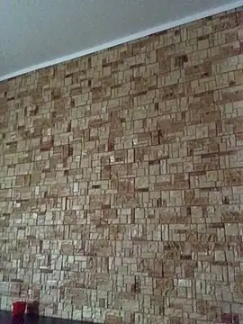 Snapshot of Prolisok473 chatting on January 2025 09:25:02 AM Prolisok473 online show from January 2025 09:25:02 AM