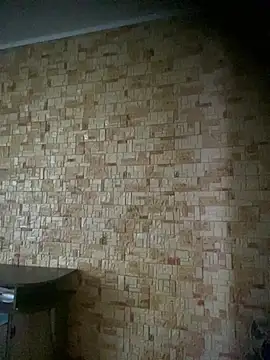 Snapshot of Prolisok473 chatting on February 2025 08:31:02 AM Prolisok473 online show from February 2025 08:31:02 AM