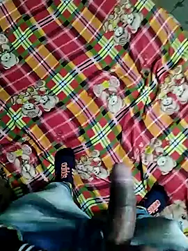 Snapshot of Kingxey chatting on December 2024 11:09:02 AM Kingxey online show from December 2024 11:09:02 AM