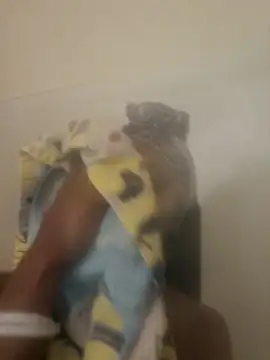 Snapshot of Looking4Jerries chatting on December 2024 06:48:01 AM Looking4Jerries online show from December 2024 06:48:01 AM