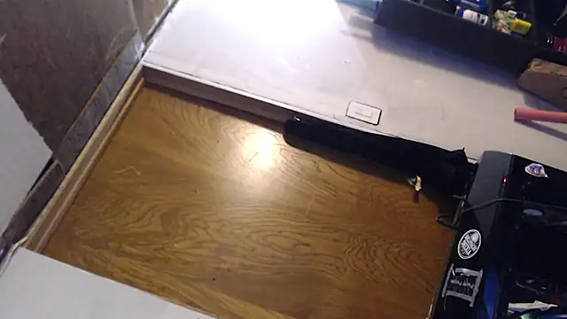 SadCatDaddy online show from March 2025 08:52:02 PM