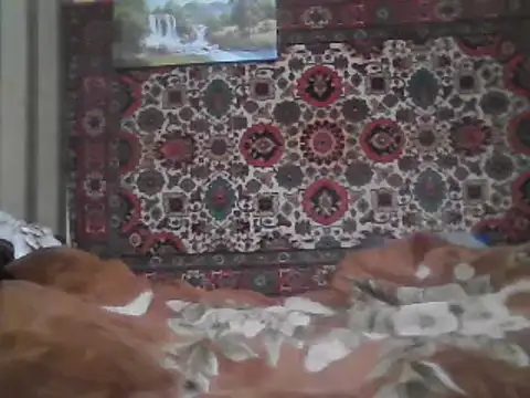 AlferezzSolvajo online show from February 2025 10:51:02 PM