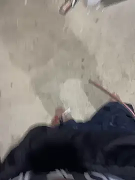 elflalope online show from February 2025 09:46:01 PM