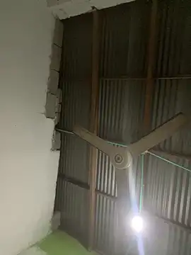 elflalope online show from March 2025 12:04:02 AM