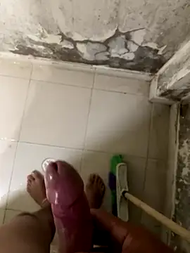 elflalope online show from November 2025 07:52:01 AM