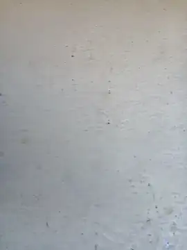 Snapshot of Pooja_cut chatting on October 2025 03:35:01 AM Pooja cut online show from October 2025 03:35:01 AM