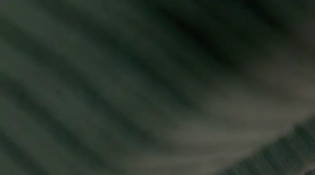 Snapshot of giselao chatting on January 2025 04:15:01 AM giselao online show from January 2025 04:15:01 AM