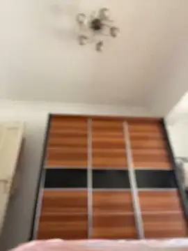 Ivy Davidson online show from February 2025 12:12:01 PM