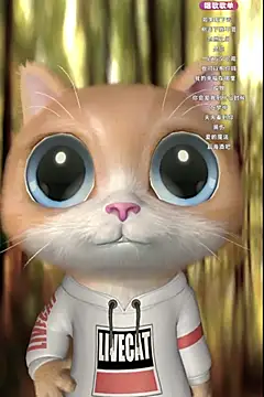 Snapshot of wangnana chatting on February 2025 01:05:02 PM wangnana online show from February 2025 01:05:02 PM