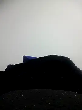 CHARLOTTE 1711 online show from October 2025 03:39:02 AM