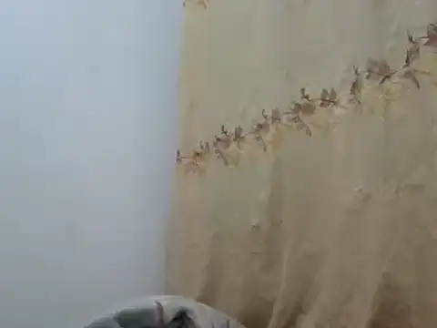 Sr JakoXXXX online show from February 2025 07:55:02 AM