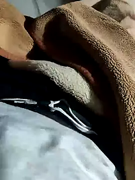 Snapshot of Raja_gamer chatting on January 2025 03:31:02 PM Raja gamer online show from January 2025 03:31:02 PM