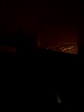 Elnegro28 online show from September 2025 11:44:02 AM