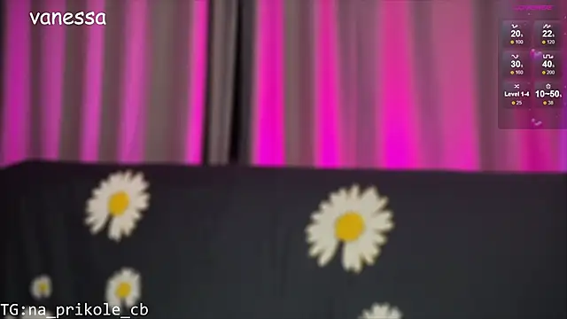 na prikole  online show from January 2025 07:31:02 PM