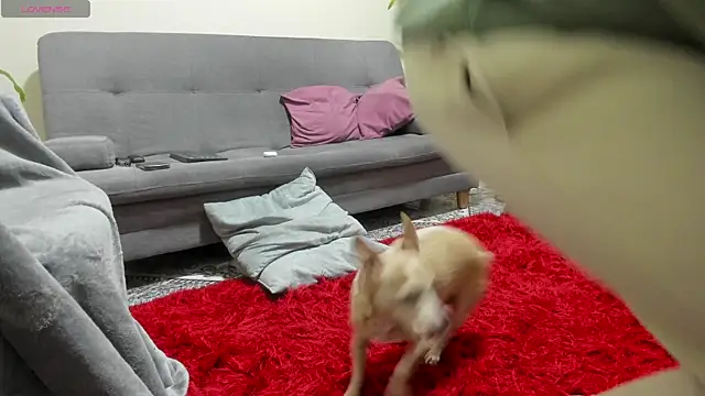 Snapshot of Salvatore_costa chatting on September 2025 12:34:01 AM Salvatore costa online show from September 2025 12:34:01 AM