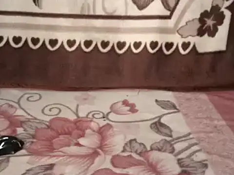 SWEETCANDY111 online show from February 2025 10:36:02 AM