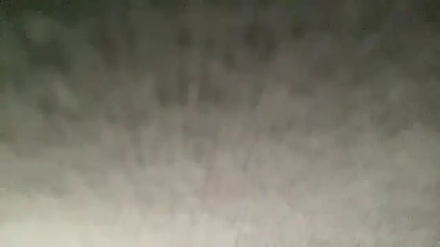 Snapshot of ryan_28747 chatting on November 2025 07:38:01 PM ryan 28747 online show from November 2025 07:38:01 PM