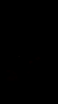 Raj41 online show from March 2025 05:05:01 PM