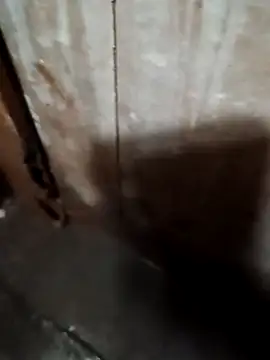 Raj41 online show from September 2025 01:39:02 AM