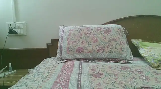 Snapshot of great_nam_par chatting on January 2025 05:29:01 AM great nam par online show from January 2025 05:29:01 AM