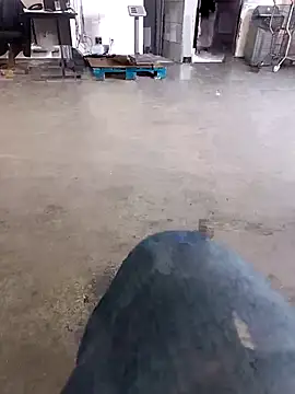 Trixboy201 online show from September 2025 07:19:02 PM