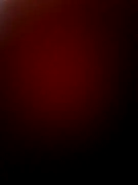 Snapshot of ruivotop chatting on March 2025 05:46:01 AM ruivotop online show from March 2025 05:46:01 AM