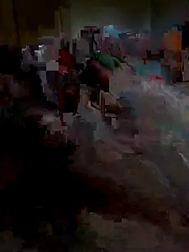 Snapshot of Ariba270 chatting on November 2025 09:55:02 AM Ariba270 online show from November 2025 09:55:02 AM