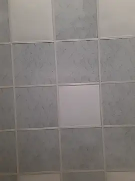 bugattiveyron online show from February 2025 10:04:01 AM