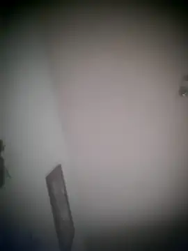 bugattiveyron online show from November 2025 09:45:01 AM