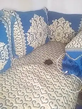 Snapshot of pora-34 chatting on November 2025 12:40:02 PM pora-34 online show from November 2025 12:40:02 PM