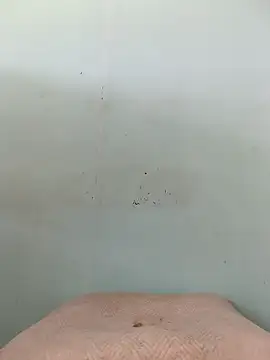 Snapshot of Dracoandr chatting on October 2025 04:05:01 PM Dracoandr online show from October 2025 04:05:01 PM