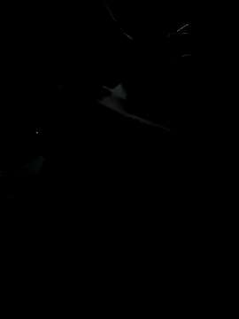 DarkRage18 online show from October 2025 05:04:01 AM
