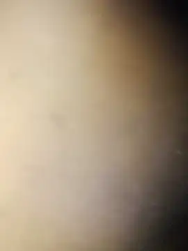 Snapshot of Crowlers chatting on March 2025 12:01:02 AM Crowlers online show from March 2025 12:01:02 AM