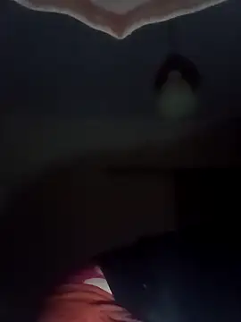 Snapshot of ginger_1_1 chatting on February 2025 03:58:02 AM ginger 1 1 online show from February 2025 03:58:02 AM