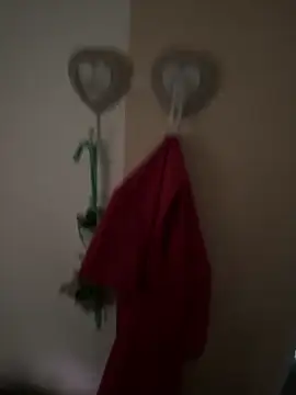 Snapshot of EMIeISL chatting on October 2025 12:27:01 PM EMIeISL online show from October 2025 12:27:01 PM