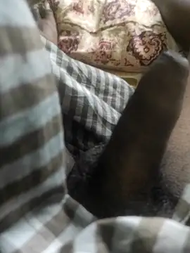 Snapshot of Tamil_small_cock chatting on February 2025 06:37:02 AM Tamil small cock online show from February 2025 06:37:02 AM